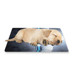 Dark Night UFO Print Pet Cooling Mat Cover