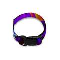 Dark Psychedelic Trippy Print Dog Collar