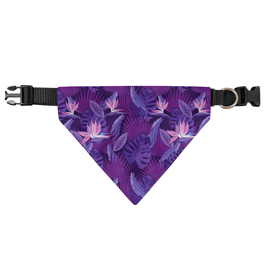 Dark Purple Hawaiian Tropical Print Over The Collar Dog Bandana