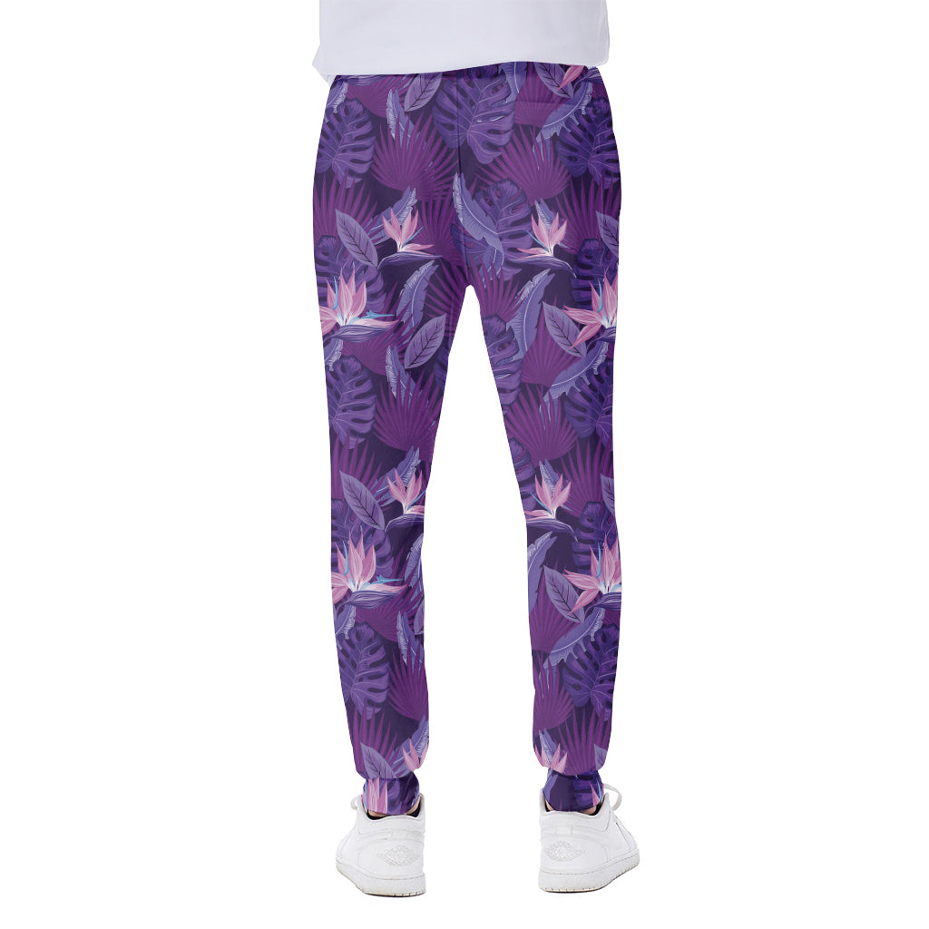 Dark Purple Hawaiian Tropical Print Scuba Joggers