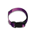 Dark Purple Rose Print Dog Collar