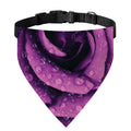 Dark Purple Rose Print Over The Collar Dog Bandana