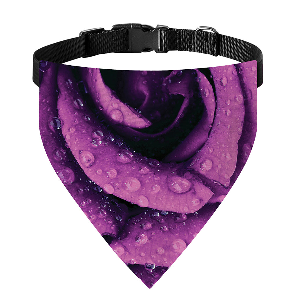 Dark Purple Rose Print Over The Collar Dog Bandana