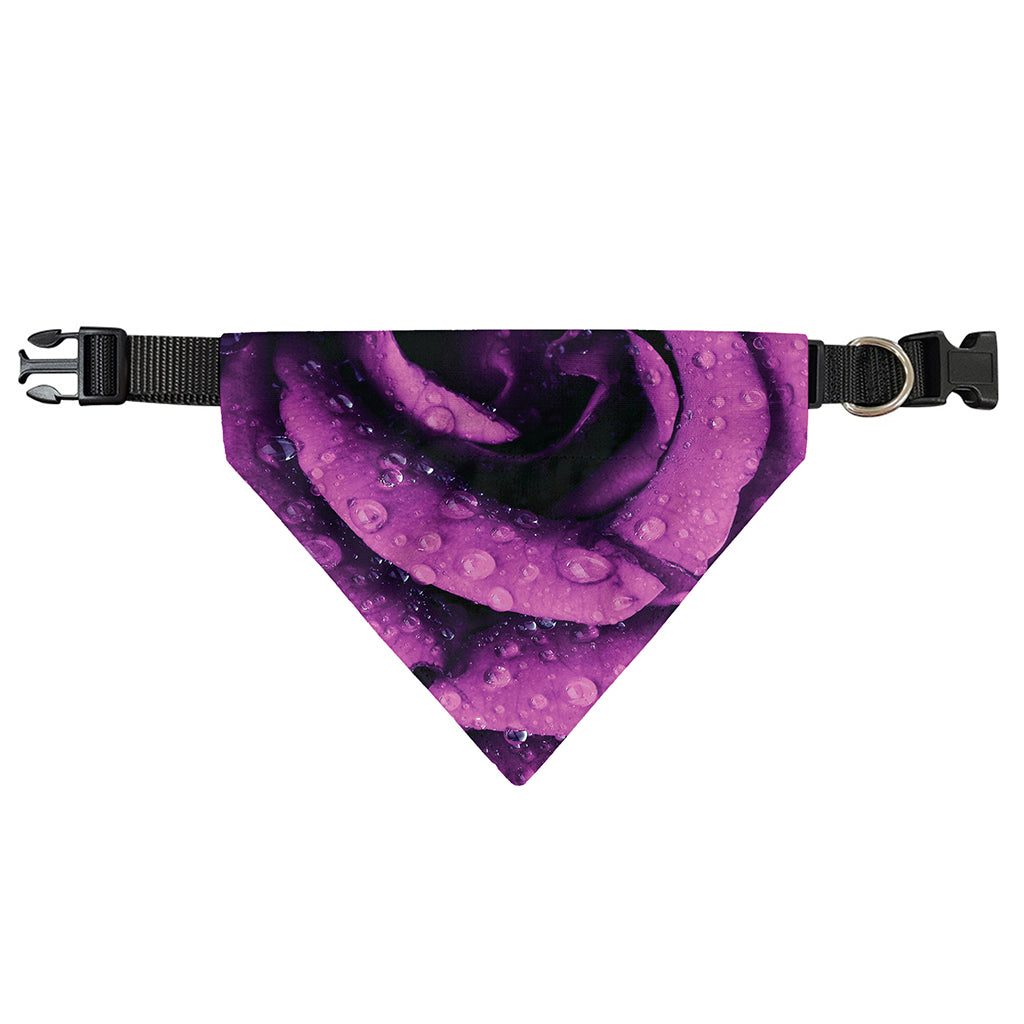 Dark Purple Rose Print Over The Collar Dog Bandana