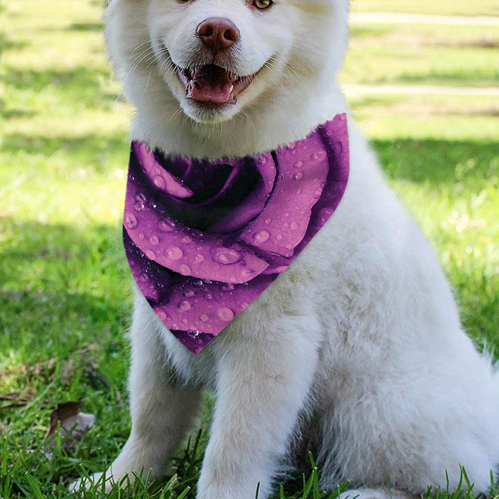 Dark Purple Rose Print Over The Collar Dog Bandana