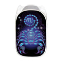 Dark Scorpio Zodiac Sign Print Mesh Laundry Hamper