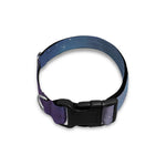Dark Universe Galaxy Deep Space Print Dog Collar
