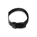 Dark Universe Galaxy Outer Space Print Dog Collar