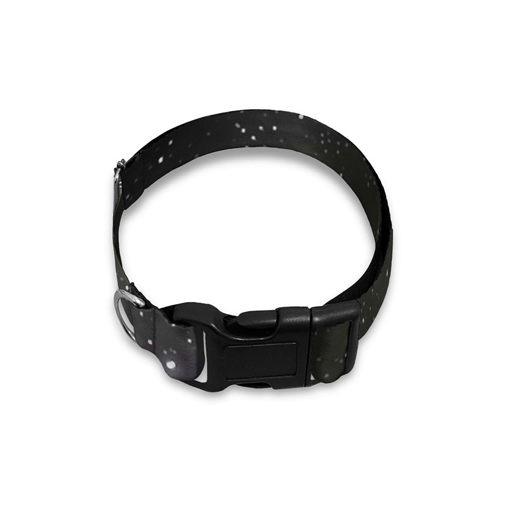 Dark Universe Galaxy Outer Space Print Dog Collar