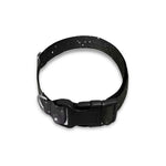 Dark Universe Galaxy Outer Space Print Dog Collar