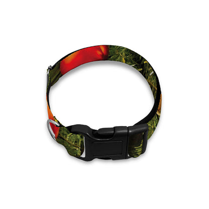 Decorated Christmas Tree Print Dog Collar