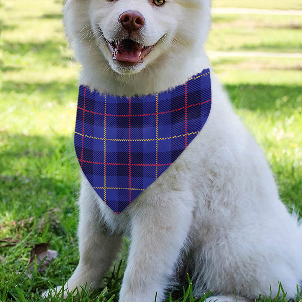 Deep Blue Stewart Tartan Print Over The Collar Dog Bandana