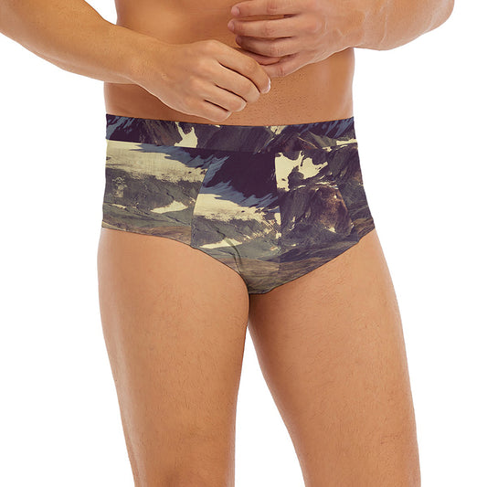 Denali Mountain Print Men's Briefs