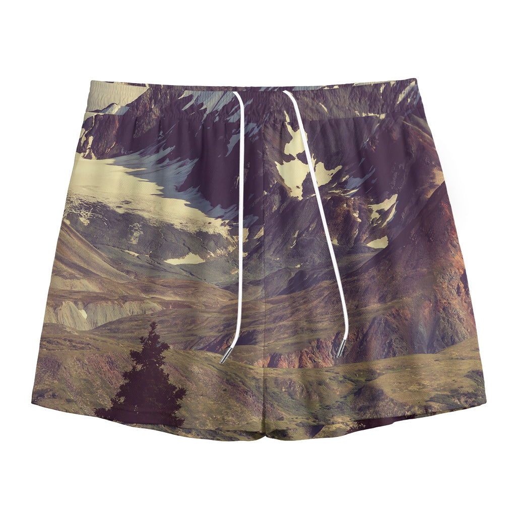 Denali Mountain Print Mesh Shorts