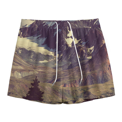 Denali Mountain Print Mesh Shorts