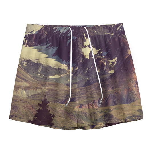Denali Mountain Print Mesh Shorts