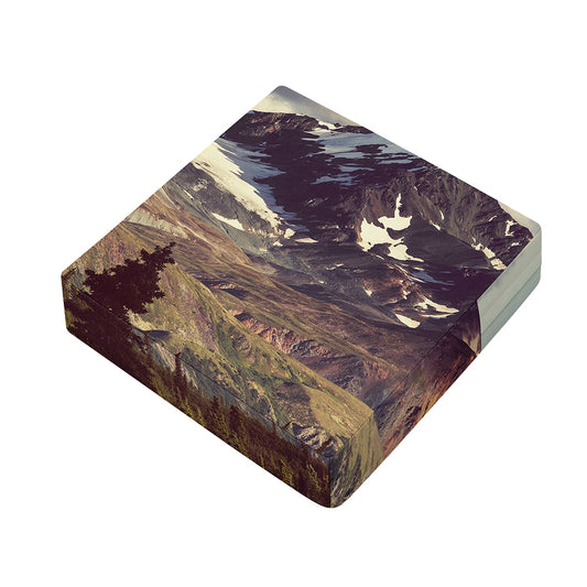 Denali Mountain Print Outdoor Seat Cushion Cover