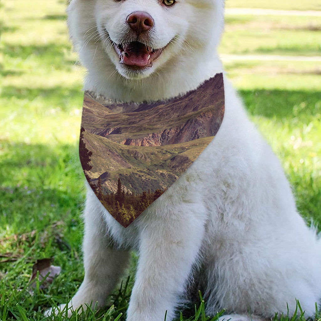 Denali Mountain Print Over The Collar Dog Bandana