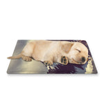 Denali Mountain Print Pet Cooling Mat Cover