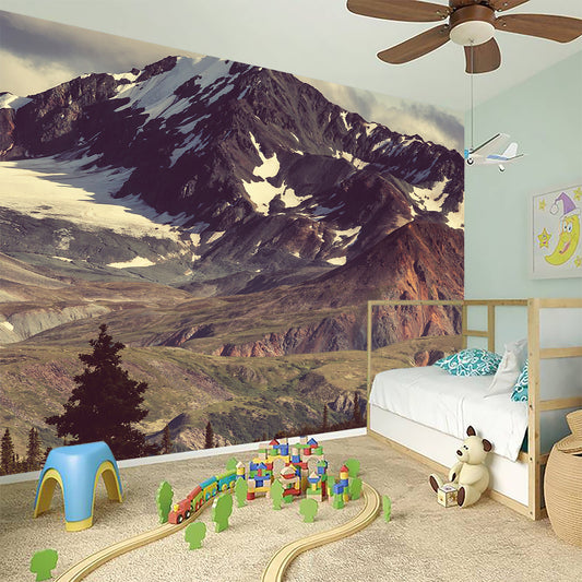 Denali Mountain Print Wall Sticker