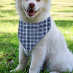 Denim Tattersall Pattern Print Over The Collar Dog Bandana