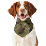 Desert Green Camouflage Print Dog Bandana