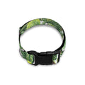 Dinosaur And Prehistoric Plants Print Dog Collar