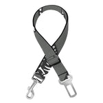 Dinosaur Fossil Pattern Print Dog Seat Belt