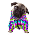 Dizzy Circle Moving Optical Illusion Dog Zip Up Hoodie