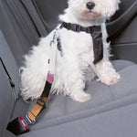 Dobermann Portrait Print Dog Seat Belt