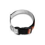 Dobermann With Glasses Print Dog Collar