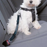 Dolphin Dot Pattern Print Dog Seat Belt