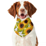 Doodle Sunflower Pattern Print Dog Bandana
