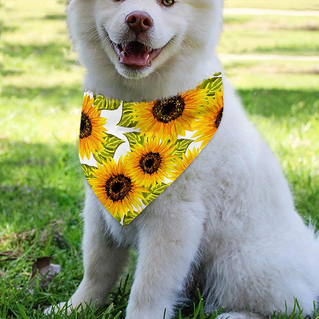 Doodle Sunflower Pattern Print Over The Collar Dog Bandana