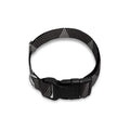 Dot Geometric Triangle Pattern Print Dog Collar