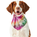 Double Tie Dye Print Dog Bandana