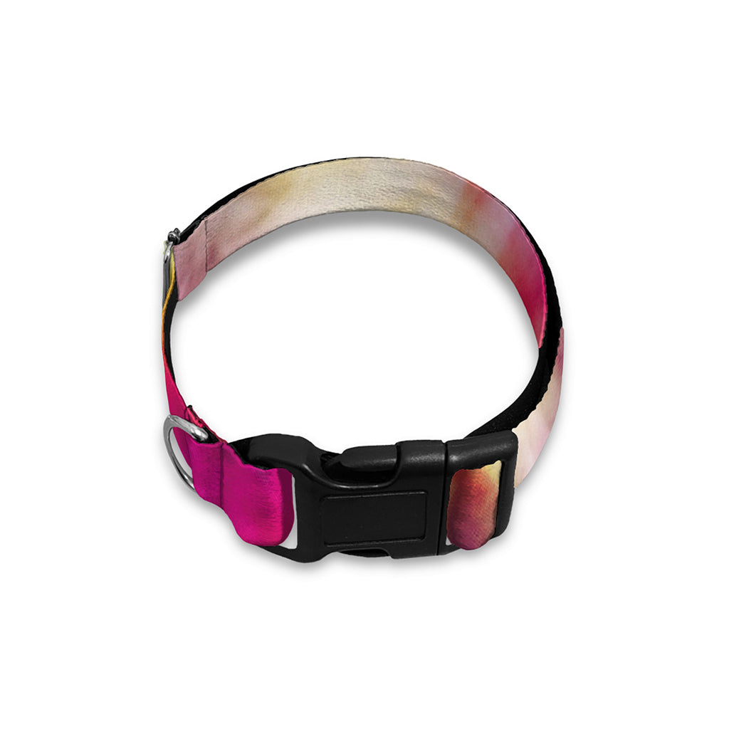 Double Tie Dye Print Dog Collar