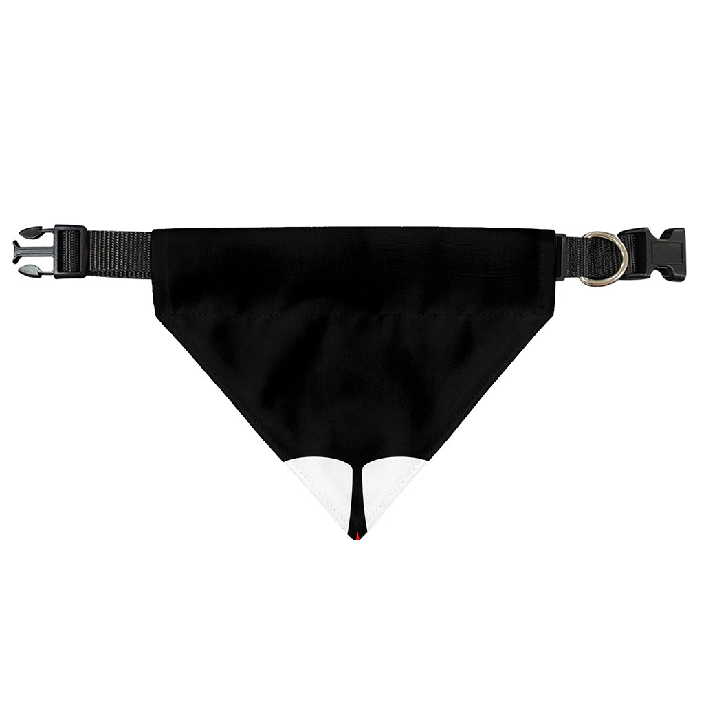 Dracula Fang Print Over The Collar Dog Bandana