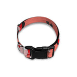 Dracula Pig Pattern Print Dog Collar