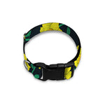 Drawing Daffodil Flower Pattern Print Dog Collar