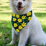 Drawing Daffodil Flower Pattern Print Over The Collar Dog Bandana