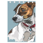 Drawing Jack Russell Terrier Print Curtain