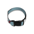 Drawing Jack Russell Terrier Print Dog Collar