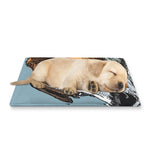 Drawing Jack Russell Terrier Print Pet Cooling Mat Cover