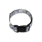 Drawing Orchid Pattern Print Dog Collar