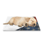 Eagle American Flag Print Pet Cooling Mat Cover