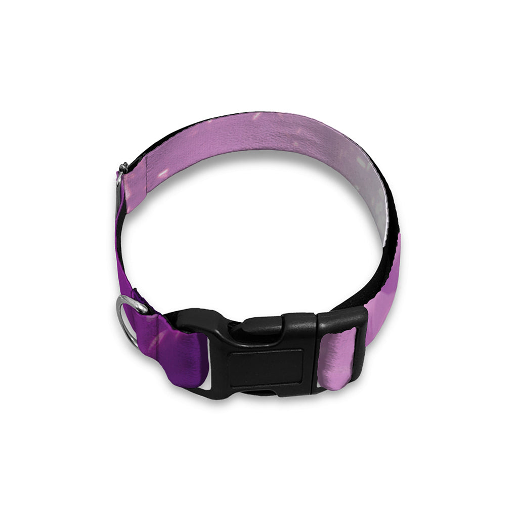 EDM Party In Nightclub Print Dog Collar