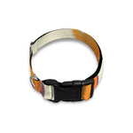 Egg Yolk Pattern Print Dog Collar