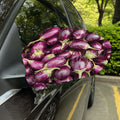 Eggplant Print Car Side Mirror Covers