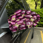 Eggplant Print Car Side Mirror Covers